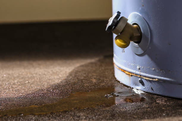 Best Water damage cleanup near me  in Revere, MA