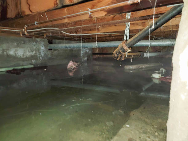 Reliable MA Water damage restoration Solutions