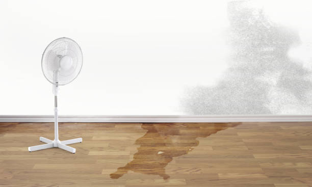  Revere, MA Water damage restoration Pros