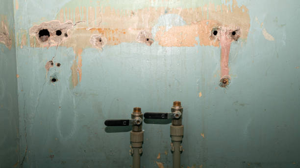 Local water damage restoration in MA