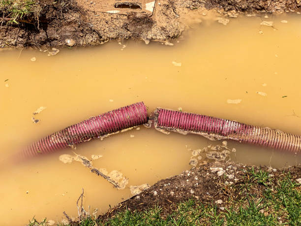 Best 24/7 water damage repair  in Revere, MA