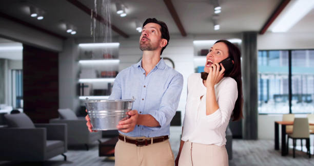 Best Carpet water damage restoration  in Revere, MA